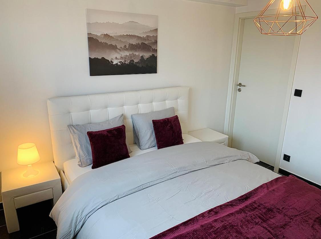 Esch/Alzette City Apartment Eksteriør billede